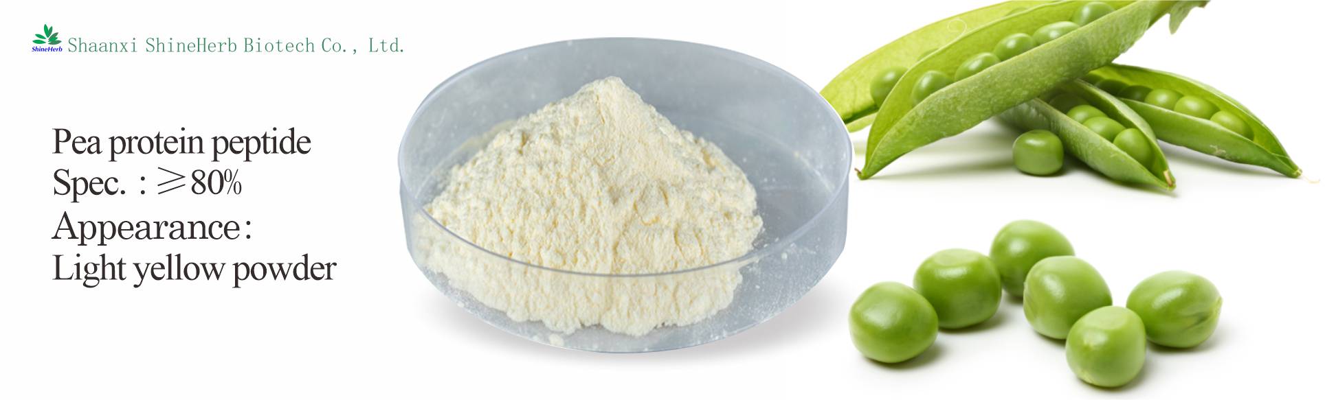 豌豆蛋白.jpg