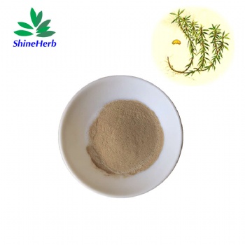 Huperzia Serrata Extract Huperzine-A