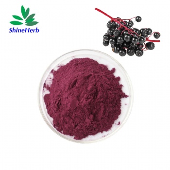 Elderberry Extract Anthocyanin