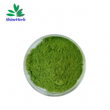 Matcha Green Tea Matcha Powder