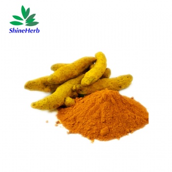 Turmeric Extract, Curcumin