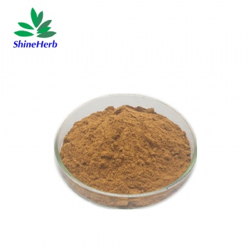 Damiana Leaf Extract