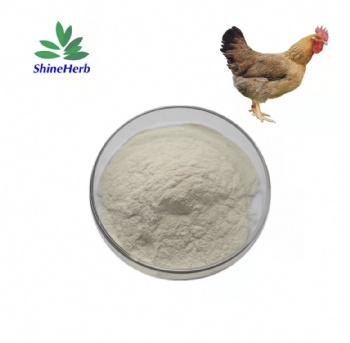 Hydrolyzed chicken Collagen Type II