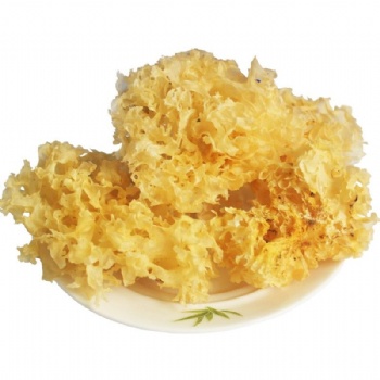 Tremella Extract: