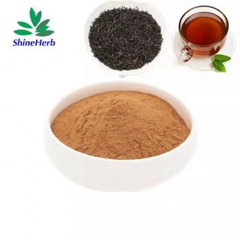 Yerba Mate Extract Powder