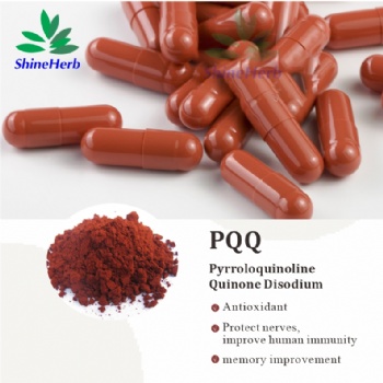 PQQ Capsules