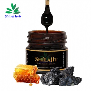 Shilajit Capsule