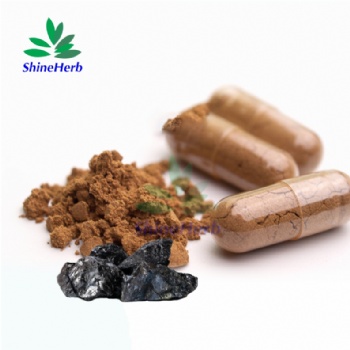 Shilajit Capsule