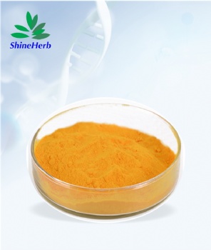 Liposomal Curcumin Powder