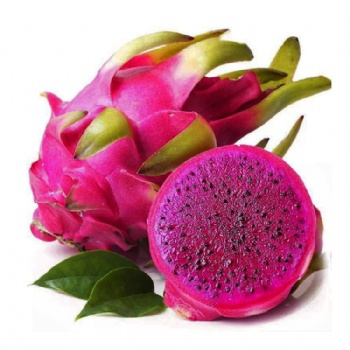 Freeze Dried Dragon Fruit Powder