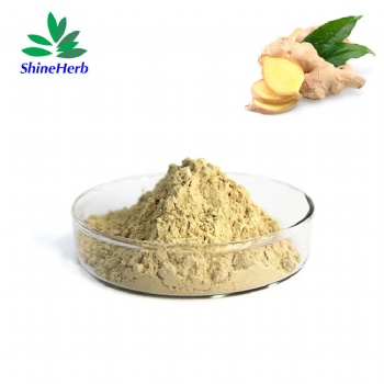 Ginger Root Extract