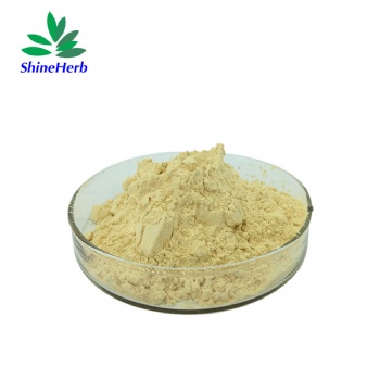 Ginger Root Extract