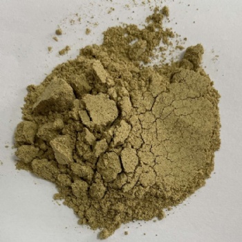 Green Lipped Mussel Powder