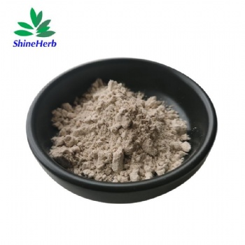 Psyllium Husk Powder