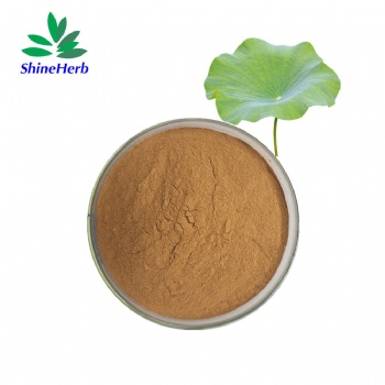 Lotus Leaf Extract