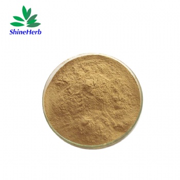 Ginkgo Biloba Leaf Extract