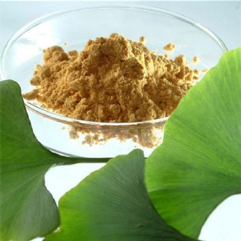 Ginkgo Biloba Leaf Extract