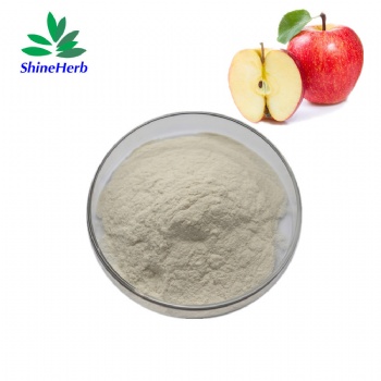 Apple Cider Vinegar Powder