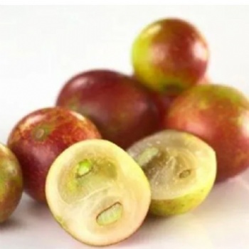 Camu Camu Extract