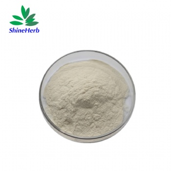 Bacillus Coagulans Powder