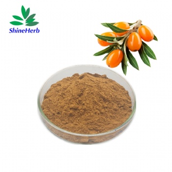 Sea-Buckthorn Extract