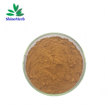 Sea-Buckthorn Extract