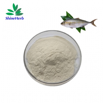 Fish Collagen Collagen