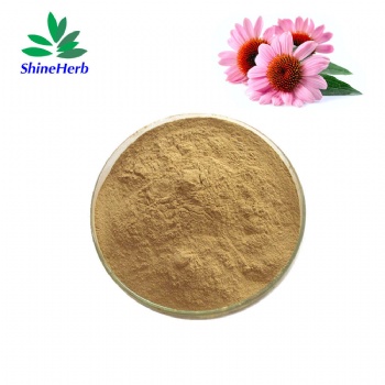 Echinacea Purpurea Extract