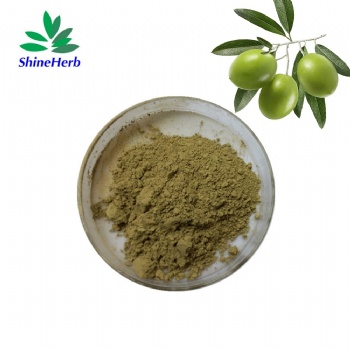 Olive Leaf Extract Maslinic Acid