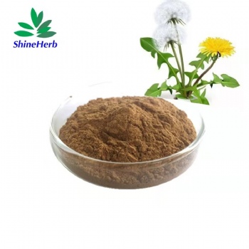 Dandelion Root Extract