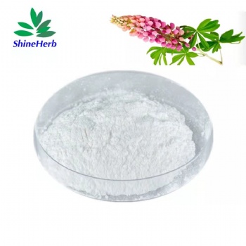 Lupinus Polyphyllus Extract Lupeol