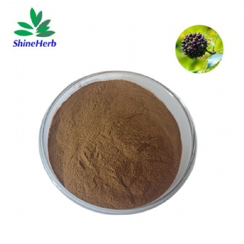 Siberian Ginseng Extract