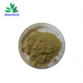 Black Cohosh Extract