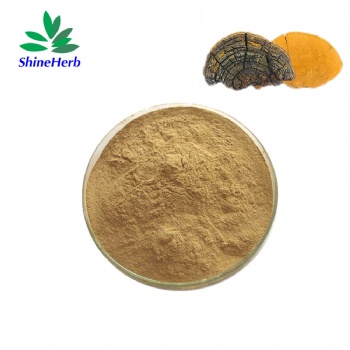 Phellinus Igniarius Extract