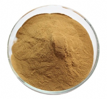 Phellinus Igniarius Extract