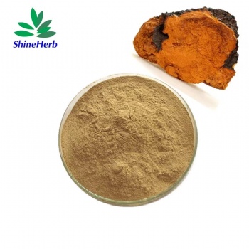 Chaga Mushroom Extract