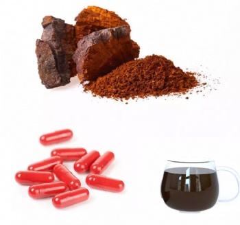 Chaga Mushroom Extract