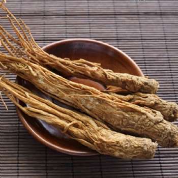 Dong Quai Angelica Root Extract