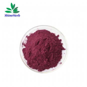 Mulberry Extract