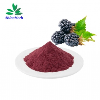 Mulberry Extract