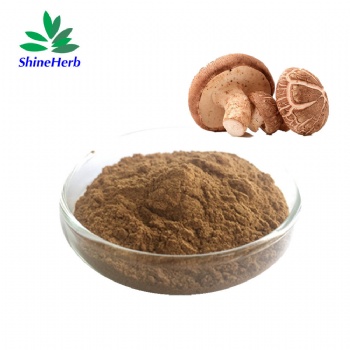 Shiitake Mushroom Extract