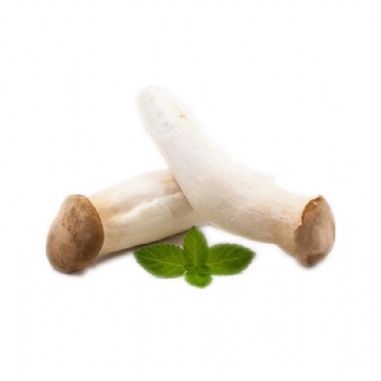 Shaggy Mane Mushroom Extract