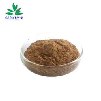 Shaggy Mane Mushroom Extract