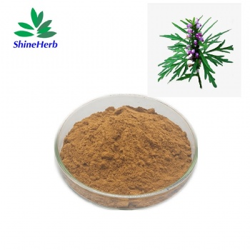 Motherwort Extract