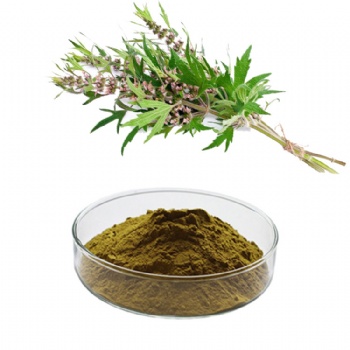 Motherwort Extract