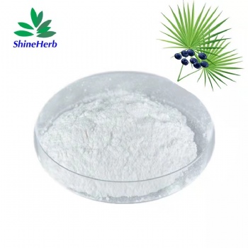 Saw Palmetto Extract