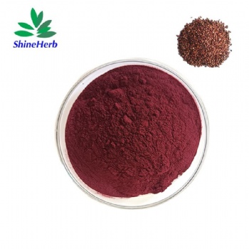 Grape Seed Extract