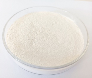 Coconut Milk Powder