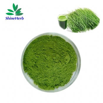 Barley Grass Powder