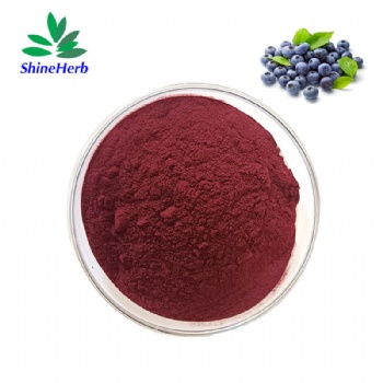 Blueberry Extract Anthocyanin